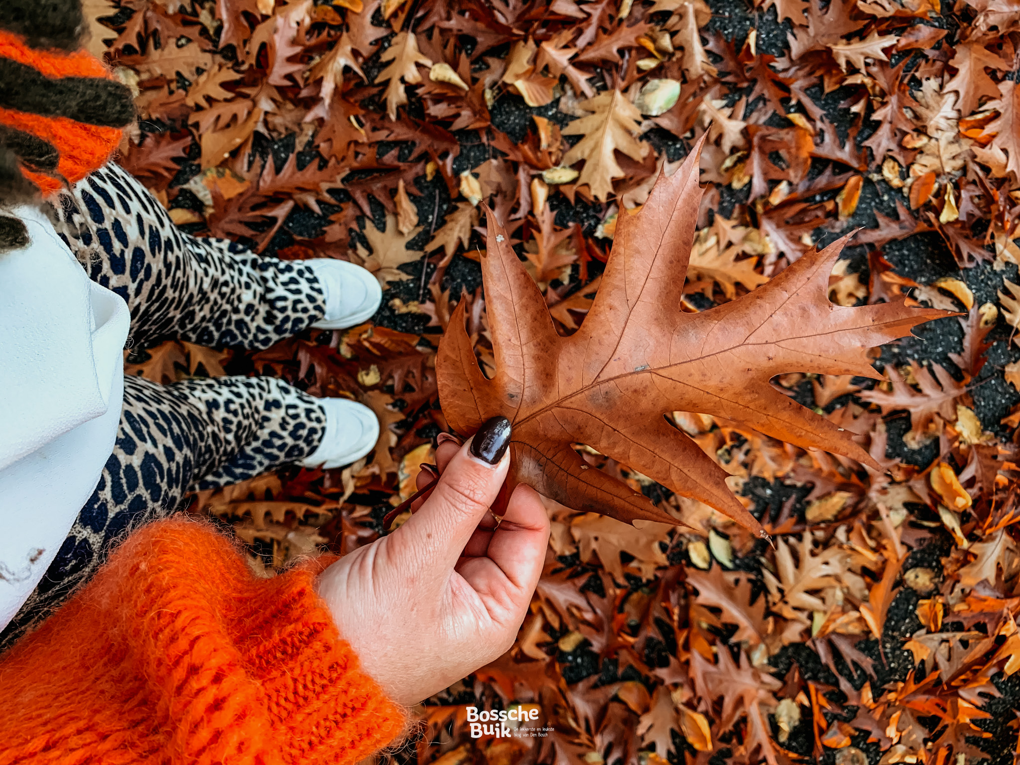 11x Vier de herfst met deze leuke tips en activiteiten in Den Bosch